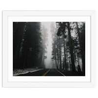 Foggy Yosemite