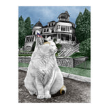 Mackinac Island Cat (Print Only) thumbnail