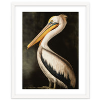 Pelican Oil Painting