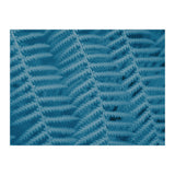 Pteridopsida 3 (Print Only) thumbnail