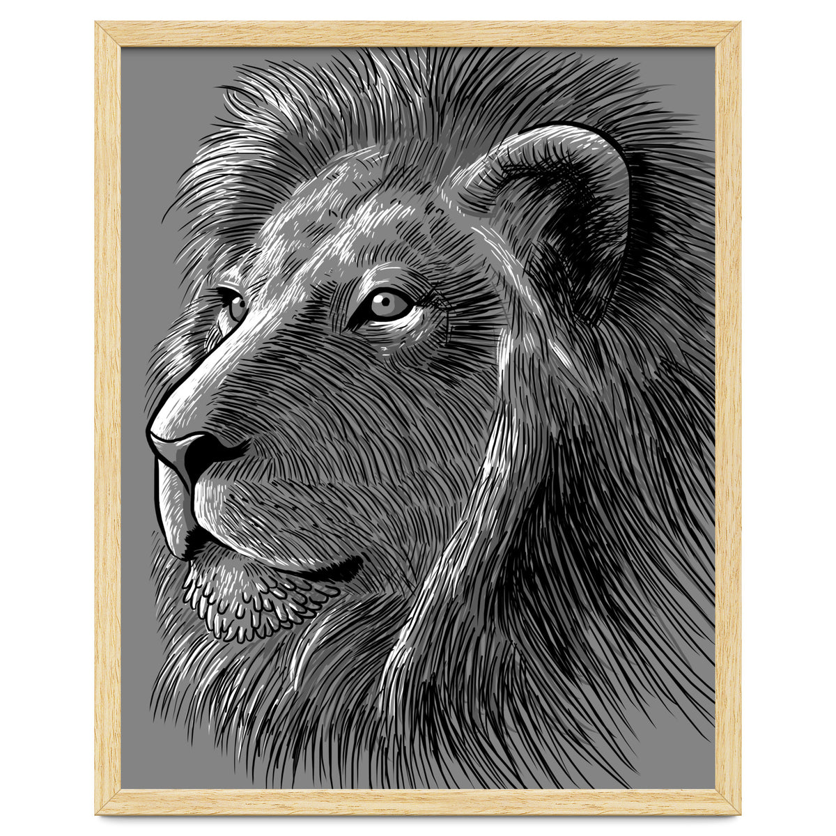 Sketch Lion