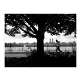 Central Park, New York City (Print Only) thumbnail