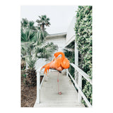 Flamingo Beach House (Print Only) thumbnail