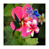 Hummingbird (Print Only) thumbnail
