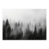 Black and White Forest (Print Only) thumbnail