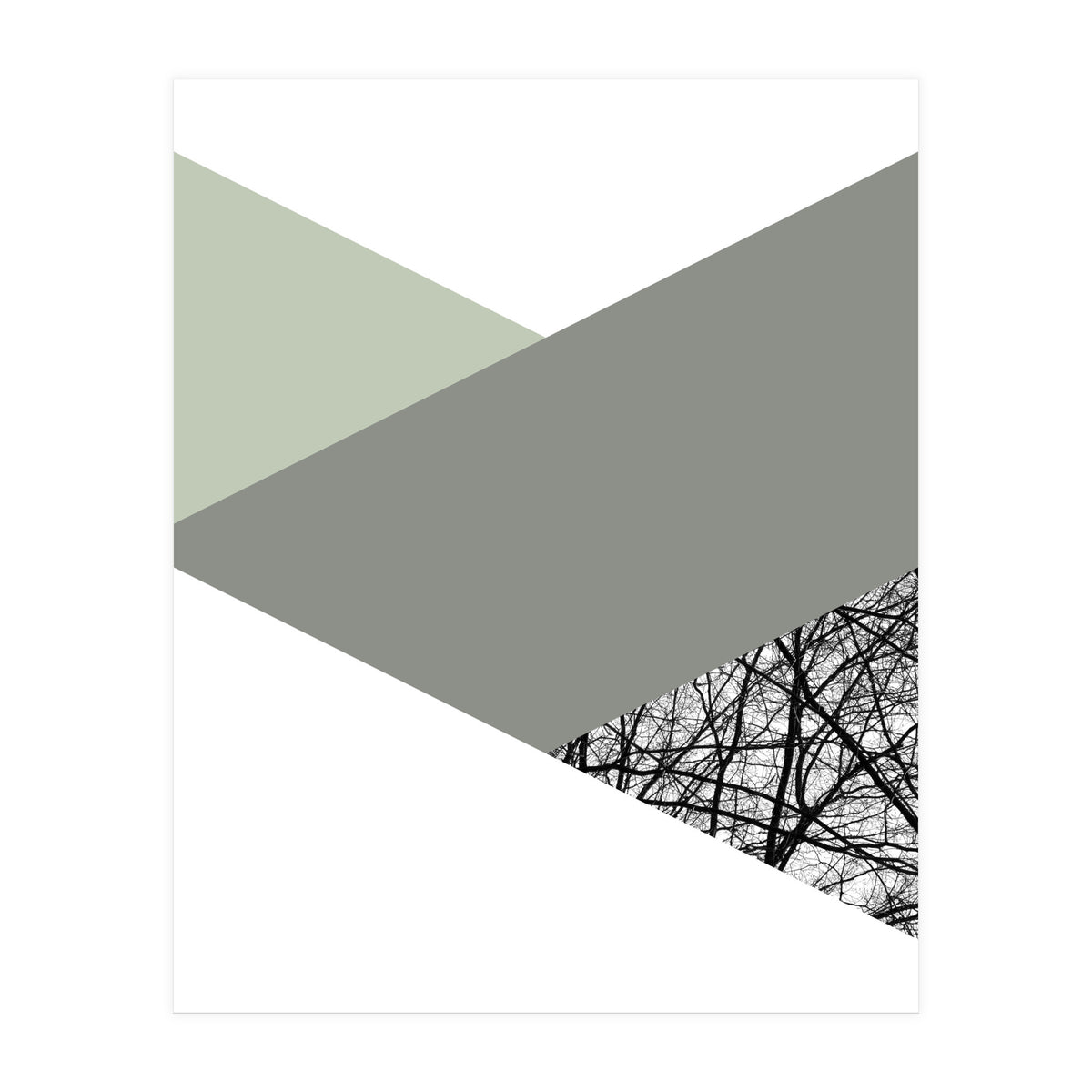 TRIWOOD III (Print Only)