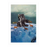 Cameraman (Print Only) thumbnail