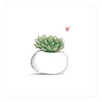 Succulent in Small White Planter (Print Only)