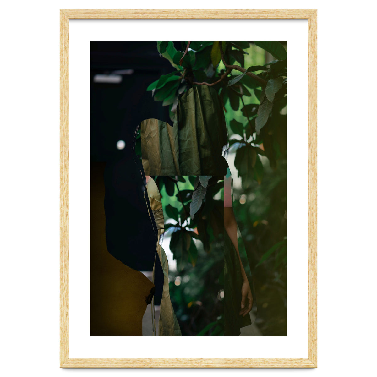 Disappeared Dreams 5