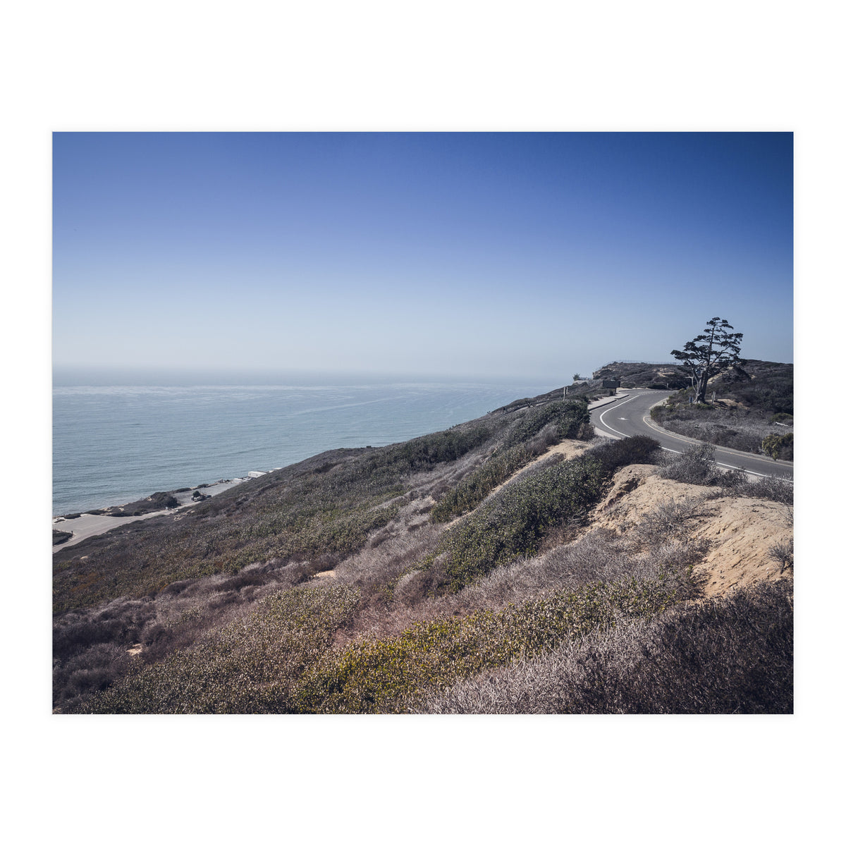 Coastal Road (Print Only)