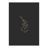 Delicate Golden Fynbos Botanicals on Black (Print Only) thumbnail