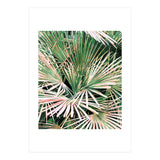 Palms II (Print Only) thumbnail