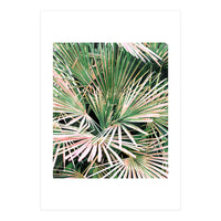 Palms II (Print Only)