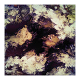 Hidden Dog (Print Only) thumbnail