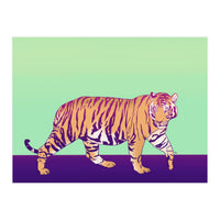Tiger Under The Sun (Print Only)
