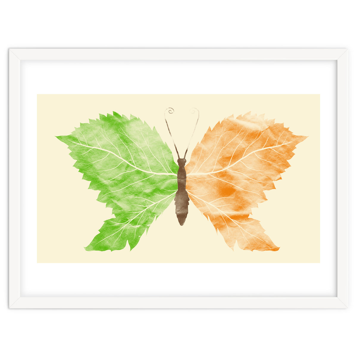 Seasons Change Time Flies