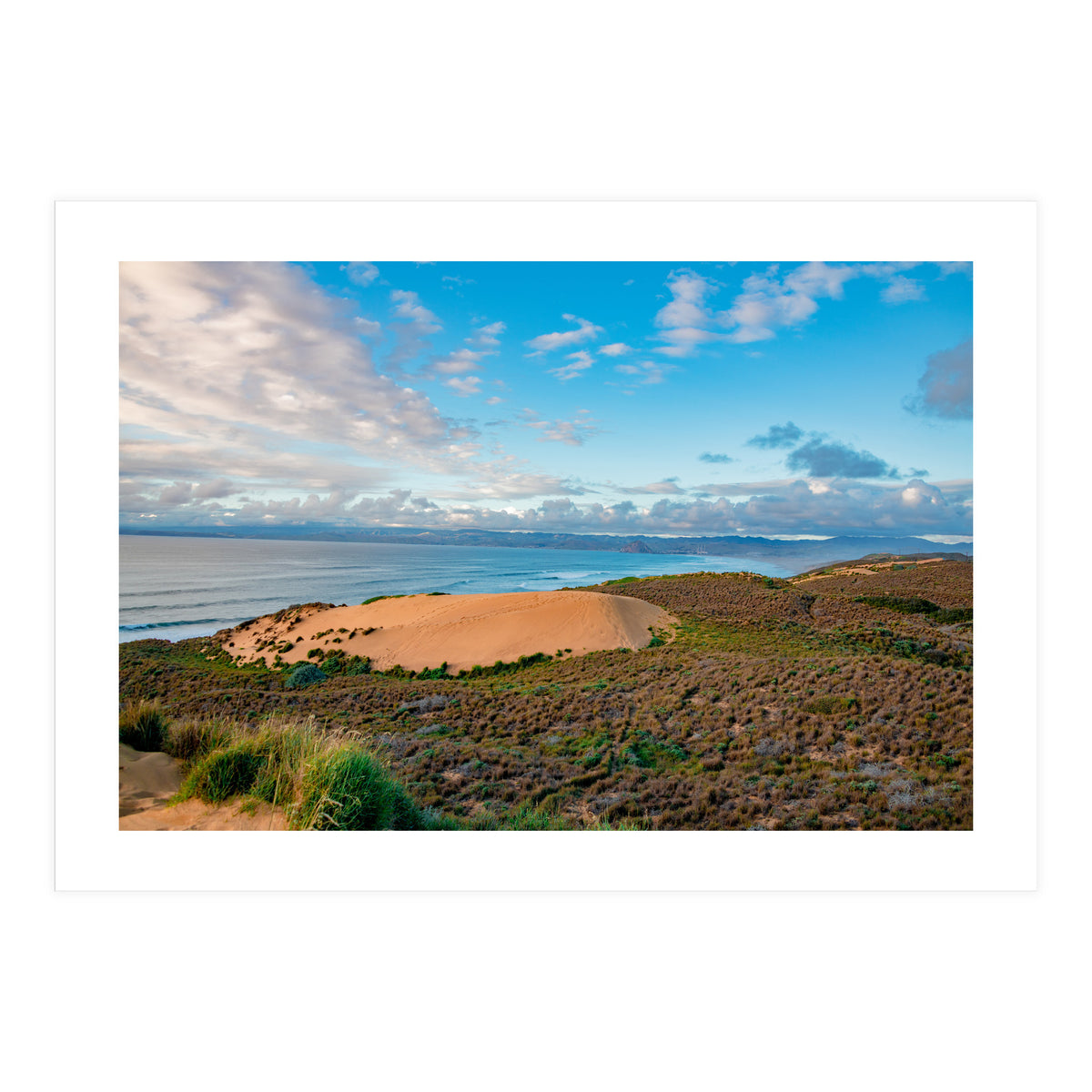 Coastal Sand Dune (Print Only)