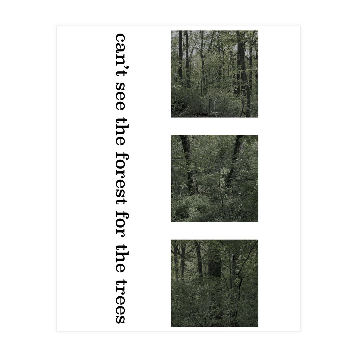 can’t see the forest for the trees (Print Only)