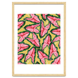 Caladium, Botanical Tropical Nature Plants, Vintage Bohemian Exotic Blush Leaves thumbnail
