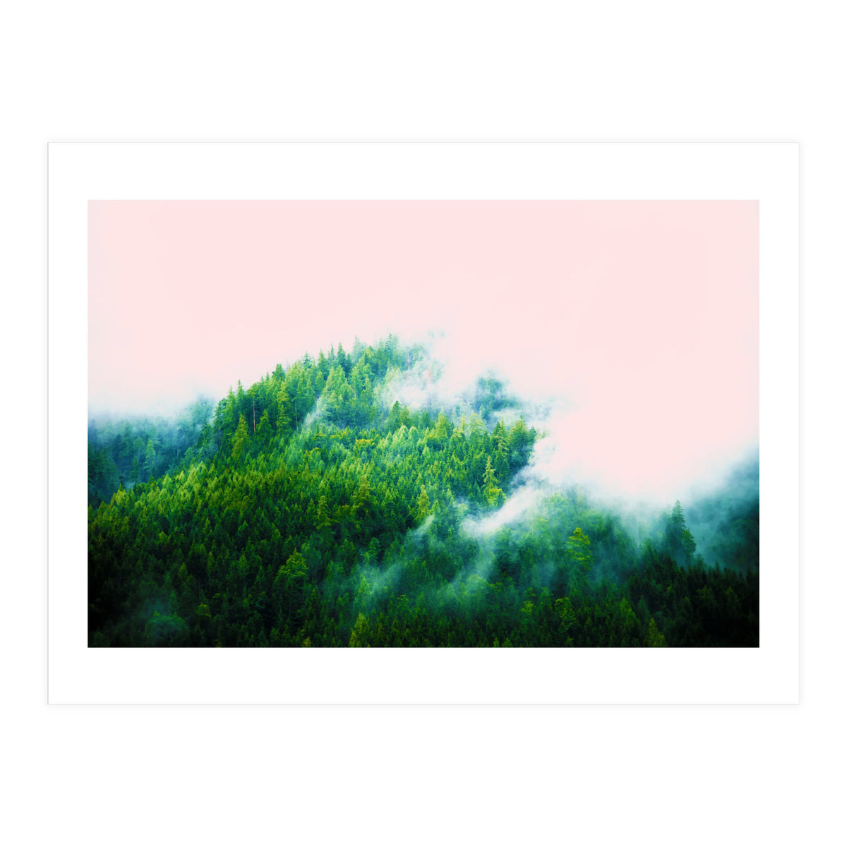 Into The Fog (Print Only)
