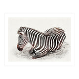 Zebra (Print Only) thumbnail