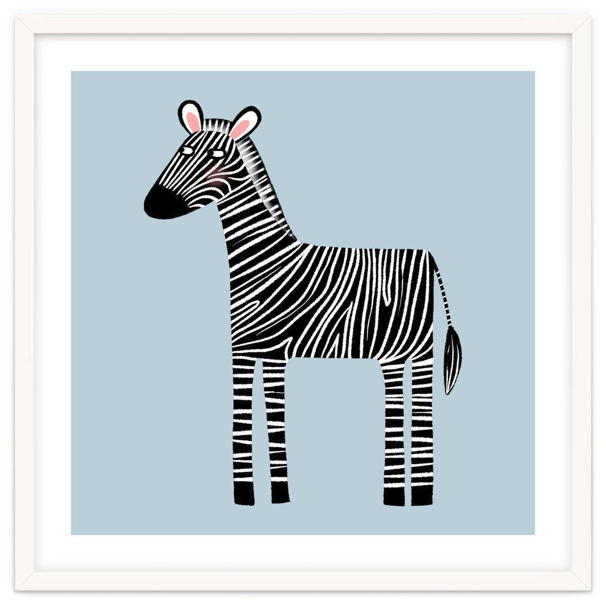 Zebra