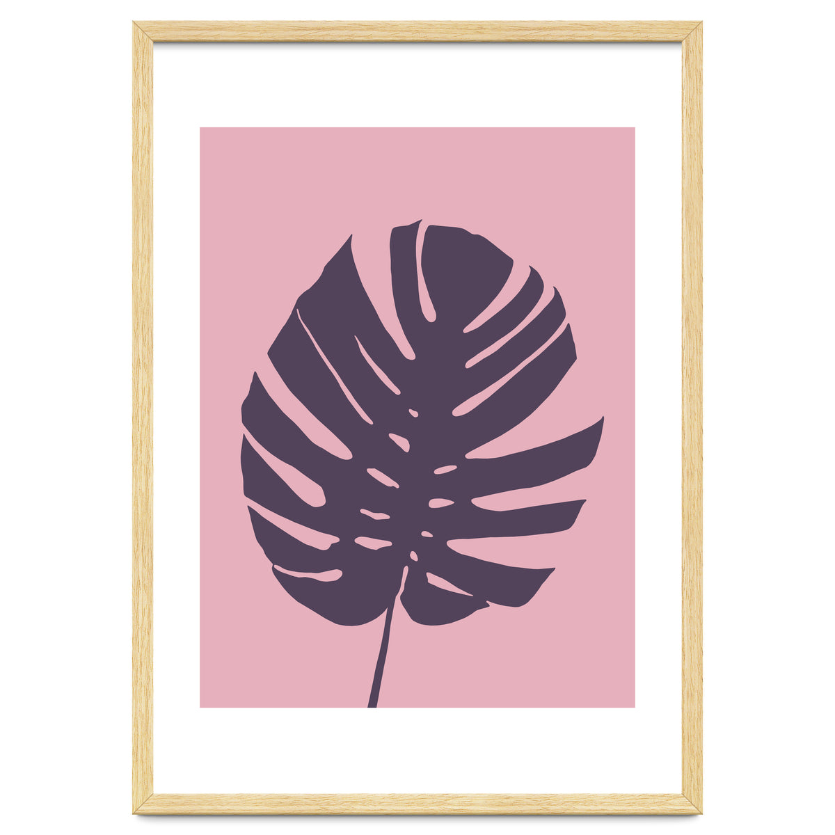 Monstera Deliciosa III