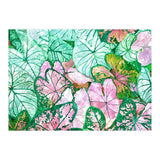 Rain & Nature (Print Only) thumbnail