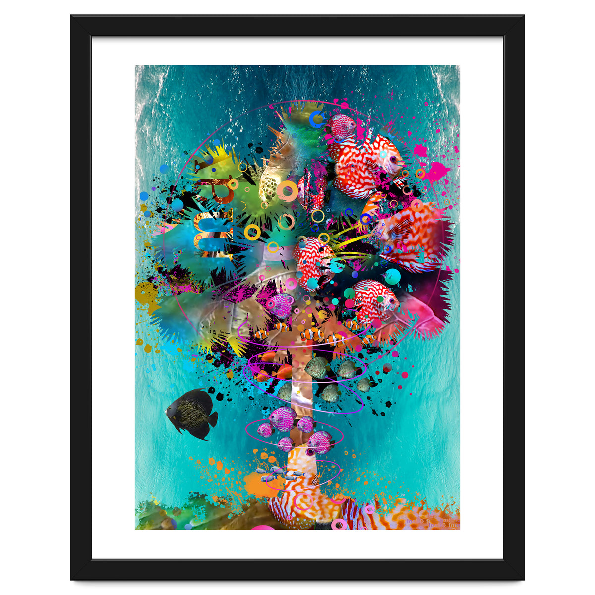 Surf Palm 02 Halfed Large2