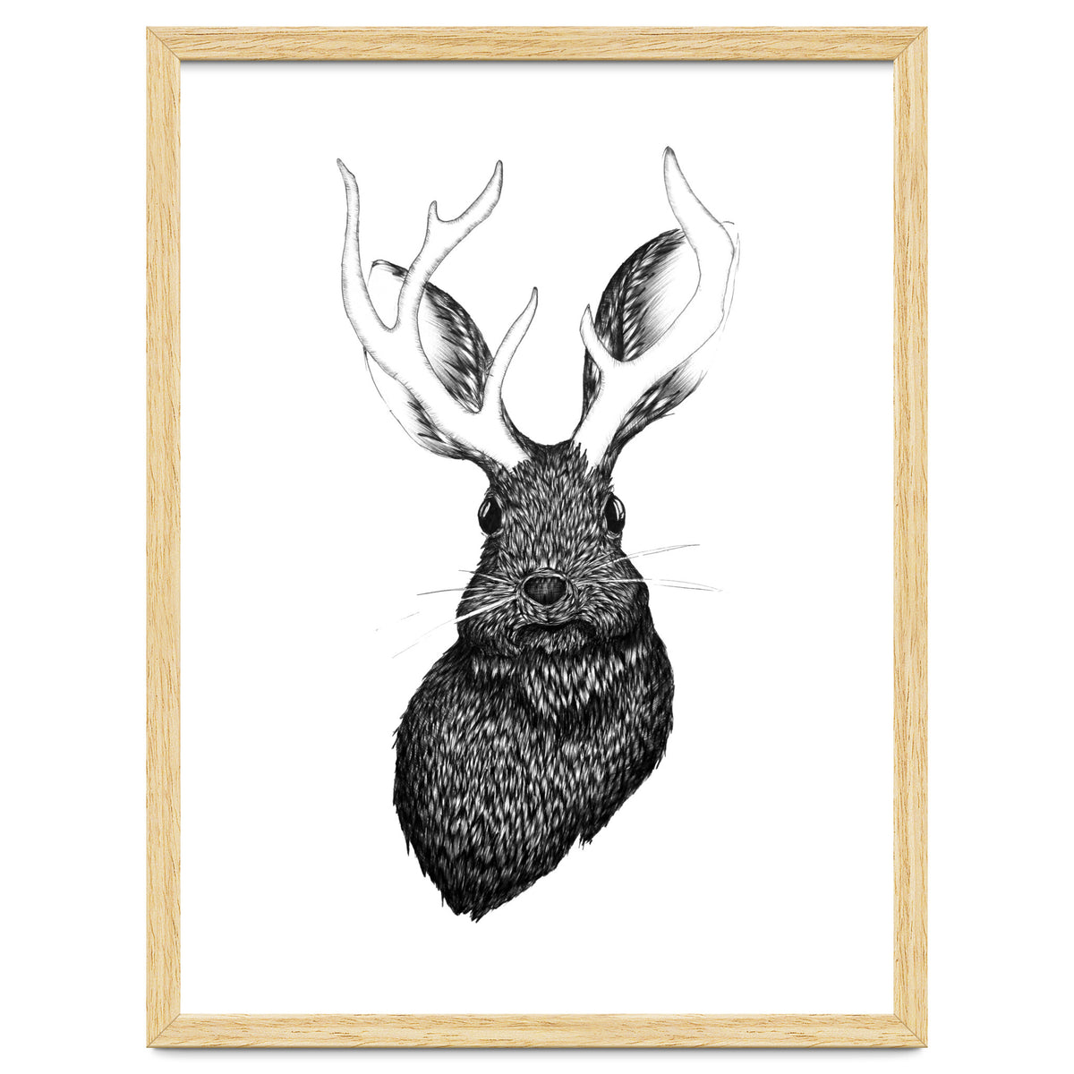 Jackalope