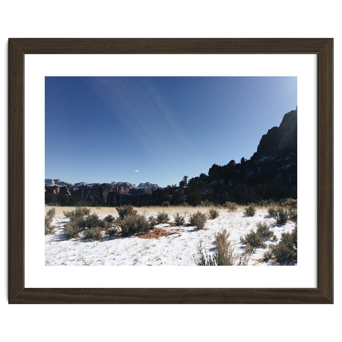 Zion National Park II