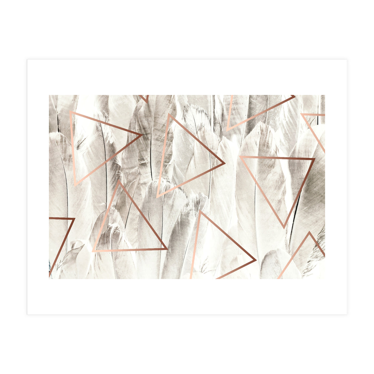 Feathers & Copper (Print Only)