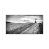 Lonely tree (Print Only) thumbnail