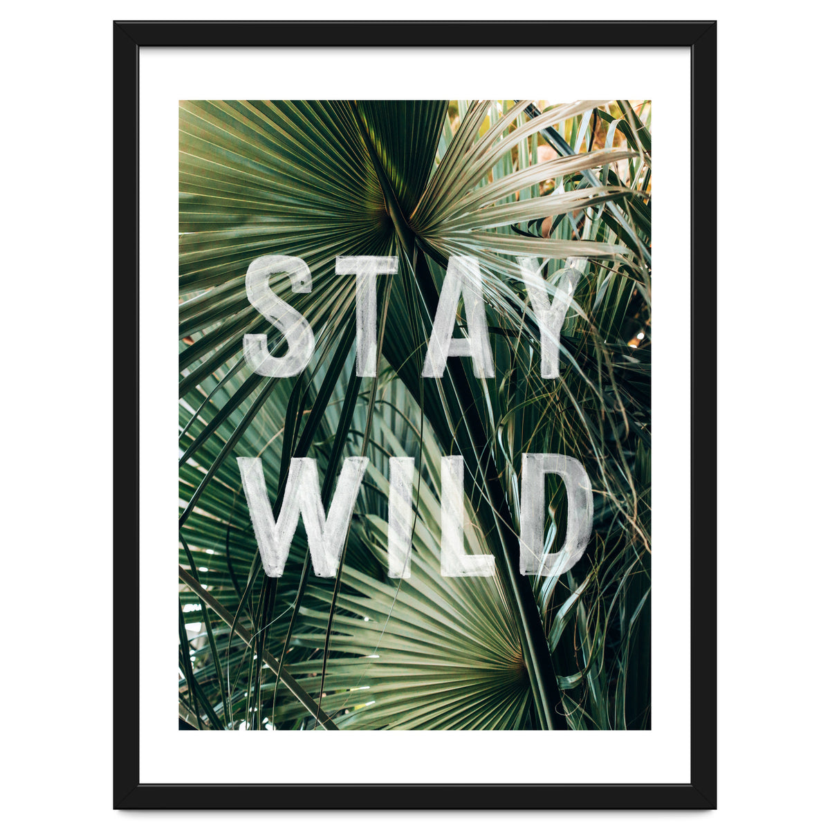 Stay Wild