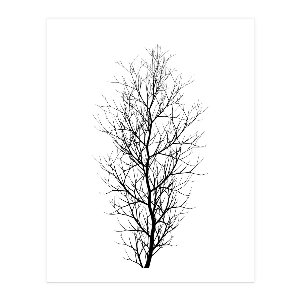 The Tree Black (Print Only)