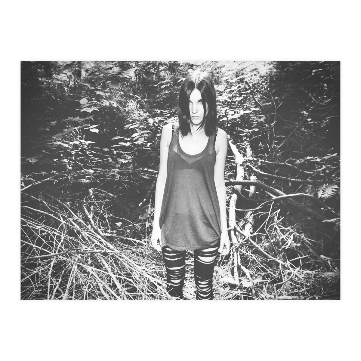 Camouflaged Animals (Print Only)