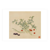 Wang Chengyu~flowers And Vegetables, Vegetables, Fruits, Beans, Red Beans, Cherries, Celery (Print Only) thumbnail