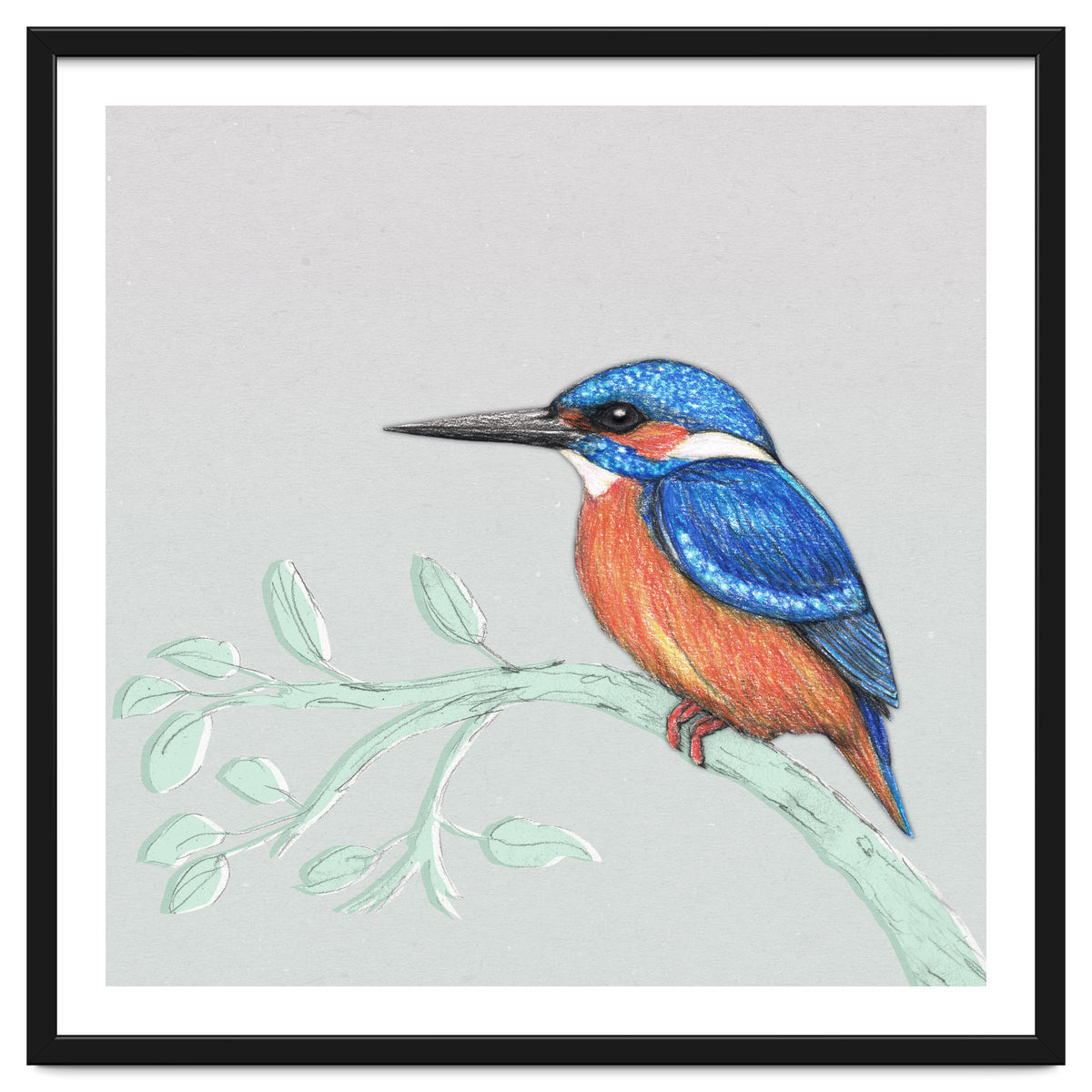 The kingfisher
