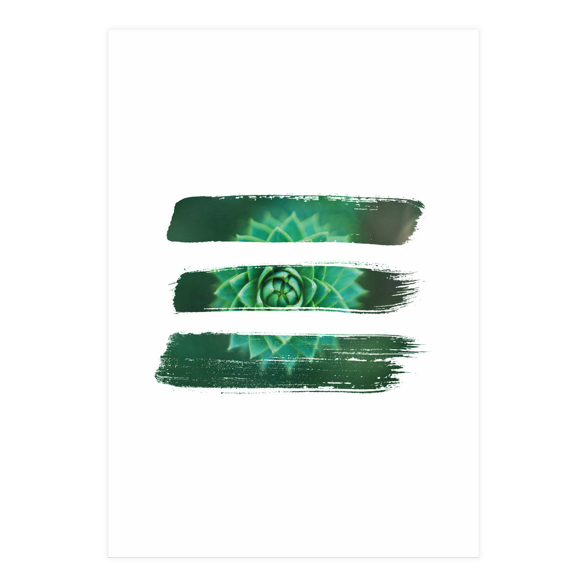 Modern Succulent I (Print Only)