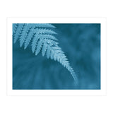 Pteridopsida 1 (Print Only) thumbnail