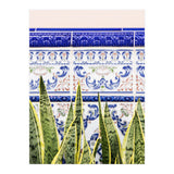 Moroccan Botany (Print Only) thumbnail