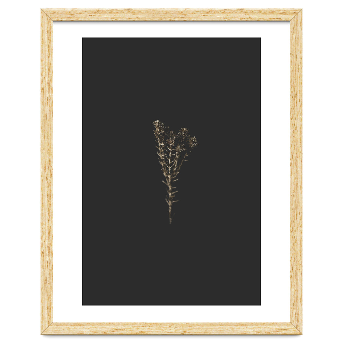 Moody Golden Botanicals