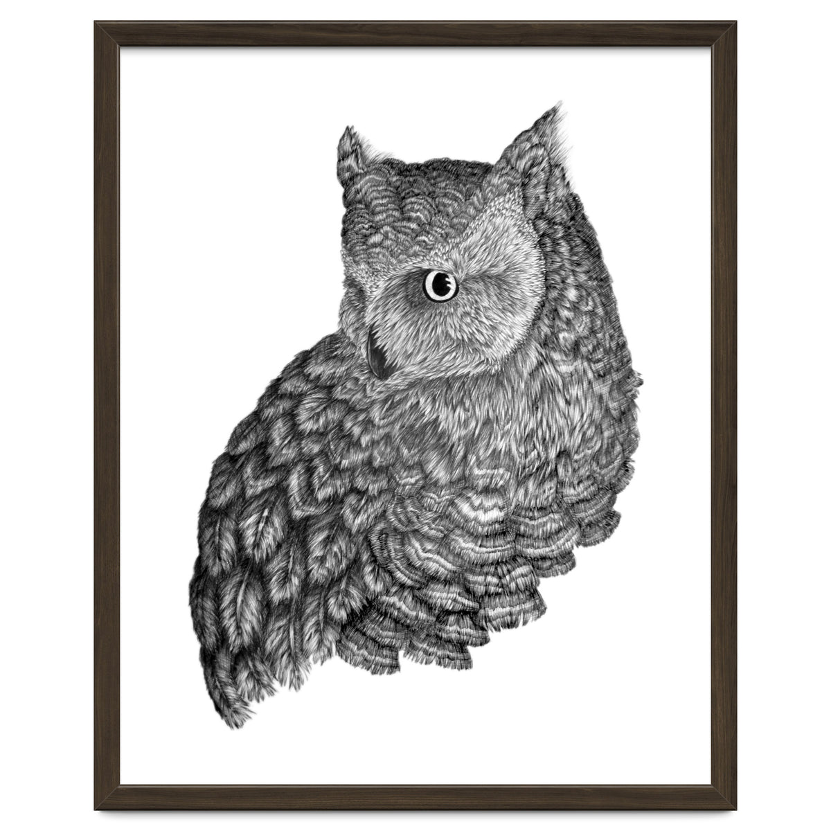 A Friend For Forsythe