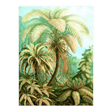 Vintage Tropical | Jungle Botanical Nature Banana Tree | Bohemian Plants Trees Forest (Print Only) thumbnail
