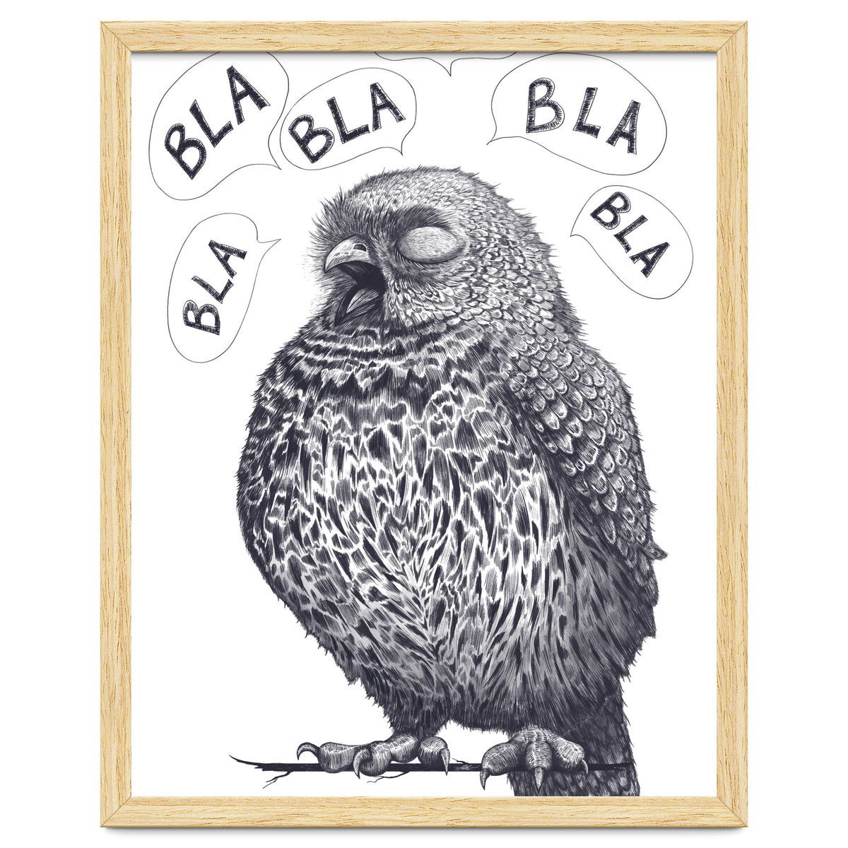 Owl Bla Bla Bla