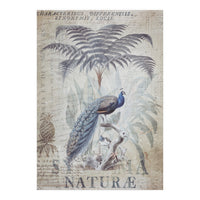 Peacock Jungle (Print Only)