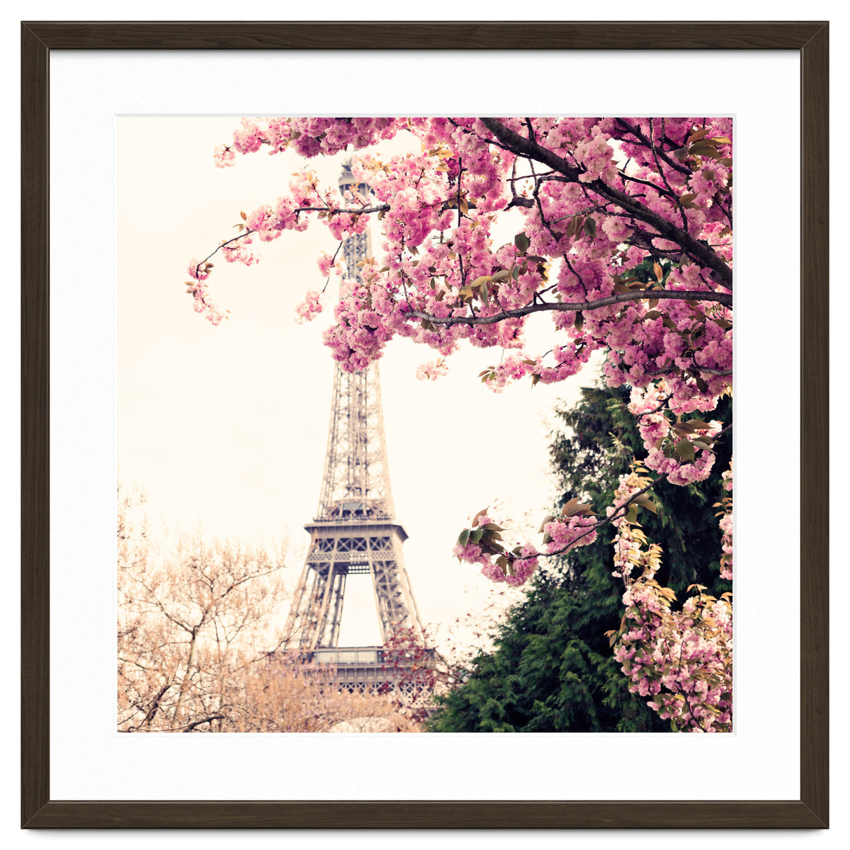 Paris in the Spring