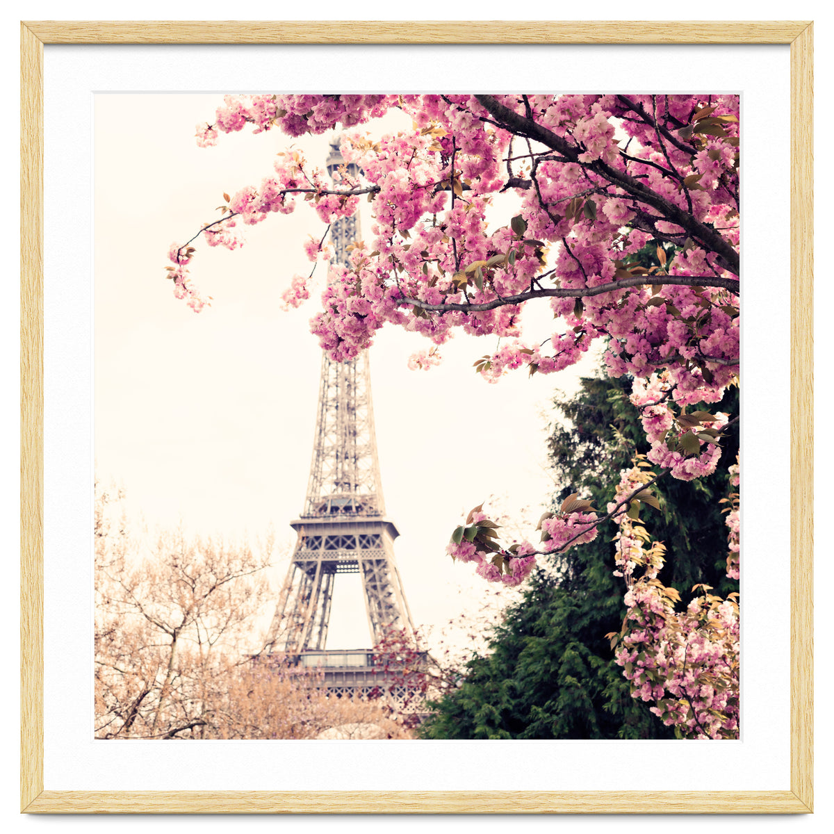 Paris in the Spring