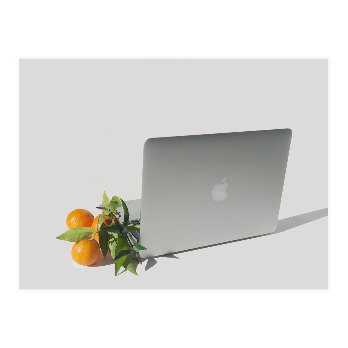 Fruit Salad (Print Only)