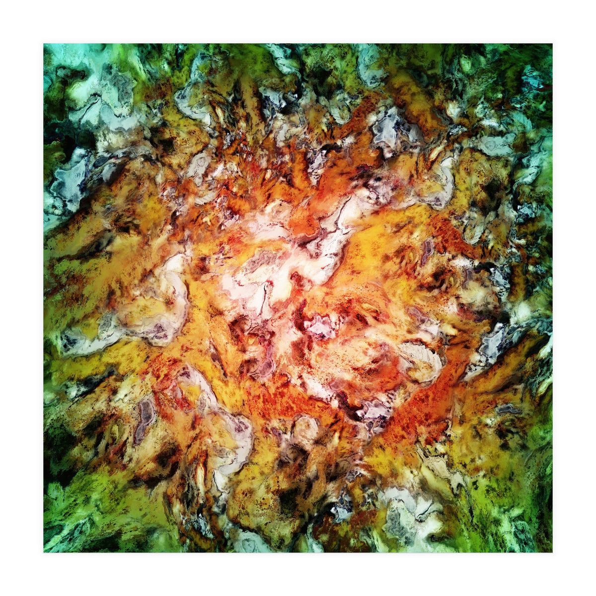 The Natural Light (Print Only)